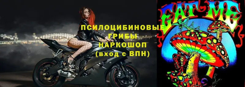 Псилоцибиновые грибы Magic Shrooms  Серпухов 